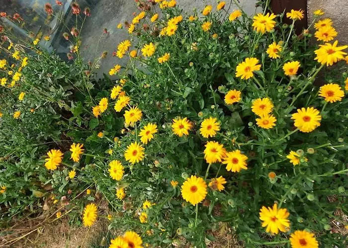 D'hotes Au Pays Des Etangs 3*